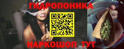 СК Вязьма